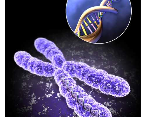 南京鼓楼生殖中心医生及其辅助生殖技术介绍