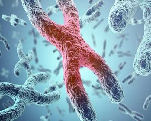 南京高龄试管助孕：成功率、四维彩超预约与费用解析