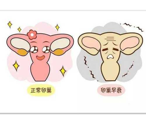 南京单身供卵代怀多少钱,南京助孕|南京助孕中介哪里好一点,南京助孕中介aa