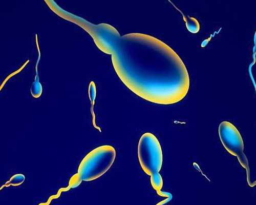 南京孕期亲子鉴定权威机构推荐