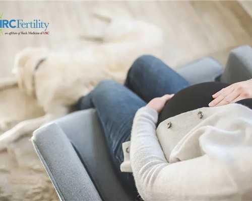 高品质辅助生殖机构_私立医疗机构的优势