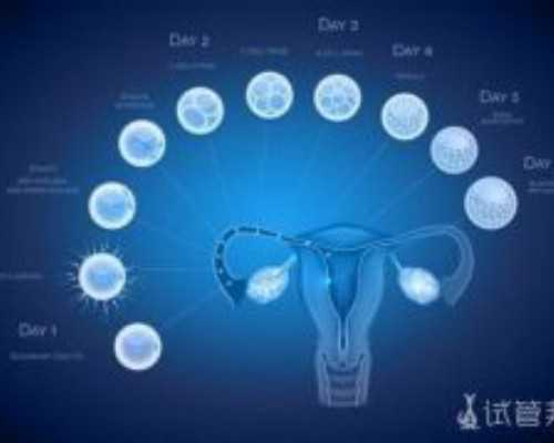 南京试管助孕精选：妇幼医院医生排名及费用解析