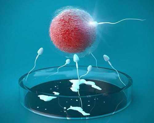 南京哪里代孕孩子便宜 南京试管婴儿私立医院费用明细 ‘孕囊图案看男女’