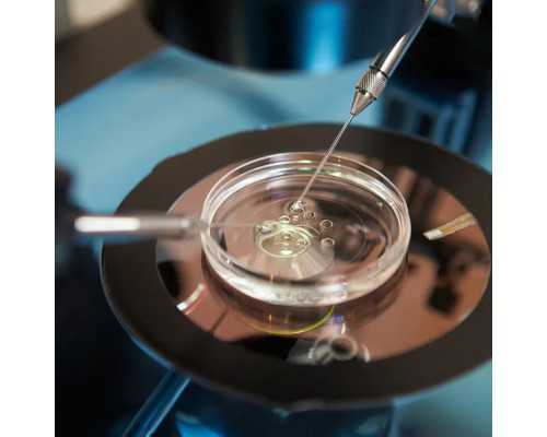 【南京供卵生男孩试管医院】南京鼓楼试管费用明细